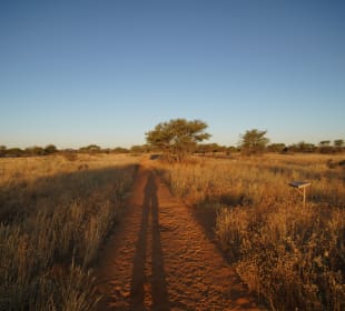 Wandern Witvlei 