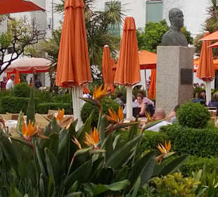 Orangenmarkt im Aussenquartier von Malaga