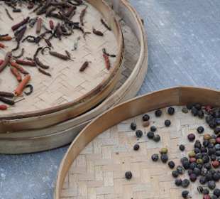 Kakao/Kaffee/Tee degustation