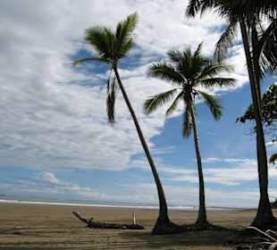 Strandspaziergang im Nationalpark