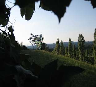 Bei Glanz an der Weinstraße bei Leutschach, Österr