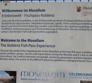 Mosellum