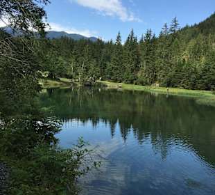 Wandern Wald im Pinzgau