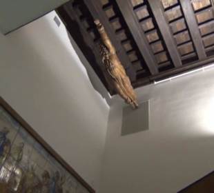 Museum Palma de Mallorca