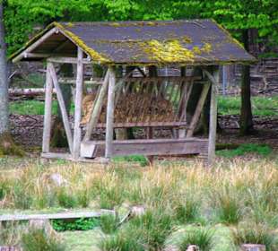 Futterplatz Wildgehege