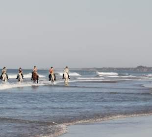 Reitstall Finca el Anfora Conil