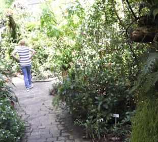 Botanischer Garten der Universität Zürich