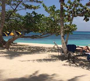 Catalina Tour mit Guide Andy Bayahibe Ausflüge