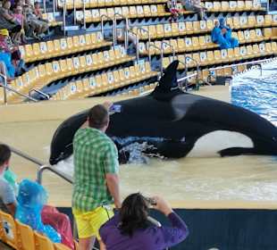 Loro Parque 