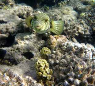 Wer kommt denn da auf mich zu?