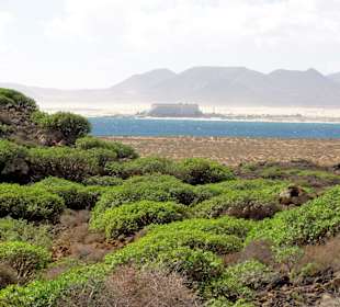 Blick von Lobos auf Fuerteventura