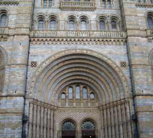 Katedra