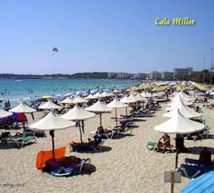 Strand in Cala Millor/Mallorca