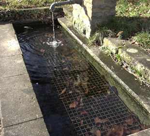Kirchbrunnen Pfrondorf