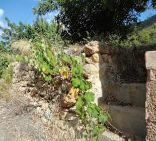 Hinterland - etwa 10 Gehminuten von der Cala