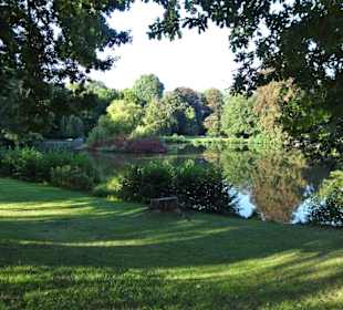 Spaziergang durch den Stadtpark Lübeck