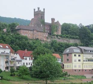 Schifffahrt auf dem Neckar