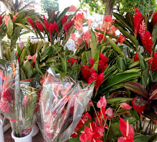 Der Marché aux Fleurs in Pointe-à-Pitre