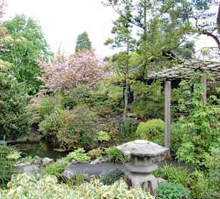 Jardin japonés