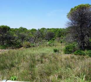 Ausblick auf der Höhe