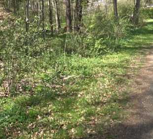 Rundweg am Beutenlay