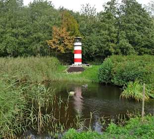 Im Feuchtbiotop des Natureum Niederelbe