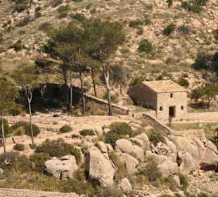 La Trappa Klosterruine