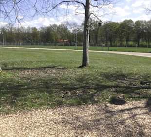 Sport- und Freizeitpark Markwasen