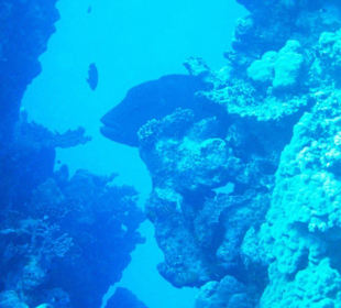 Unterwassereindrücke