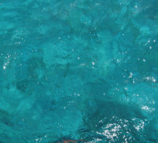 Meereswasser