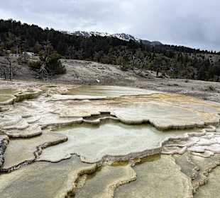 Yellowstone Nationalpark