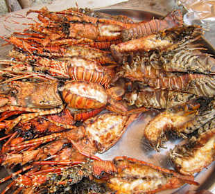 Lobster bis zum Abwinken! Lecker!