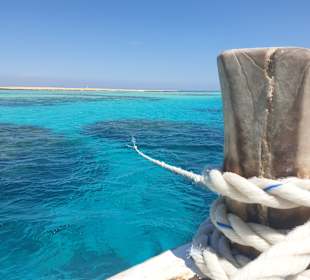 Schnorcheln El Gouna
