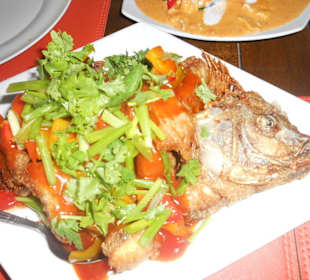 "Red Snapper" nach einer Dschungel Tour!