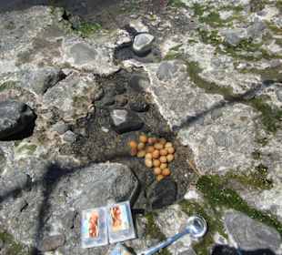 Eier kochen im heißen Wasser in der Sorgetobucht