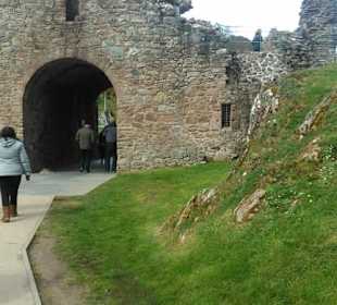Zugang zur Ruine.Ruinenreste.