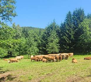 Am Rundwanderweg