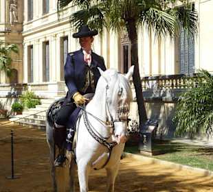 Reiter in der Hofreitschule