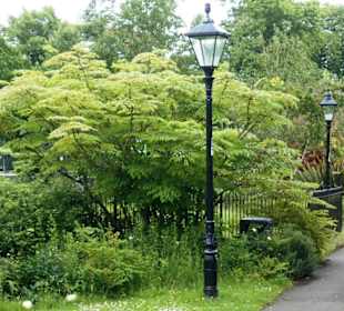 Palmerston Park