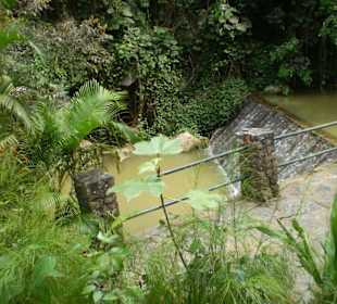 Höhle "Cueva del Indio"