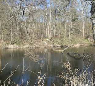 Bei einem Spaziergang am Sennfelder Seenkranz