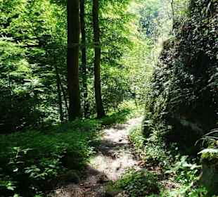 Wanderung durch die Kleine Luxemburger Schweiz