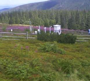 Tatrzański Park Narodowy