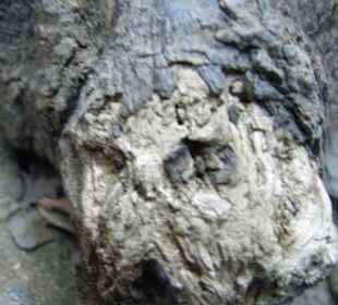 Klettergebiet Mazet-Plage