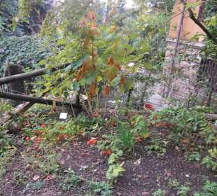 Botanischer Garten Bergamo