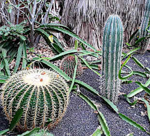 Botanischer Garten Viveiro