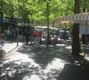 Auch Schattenplätze sind da