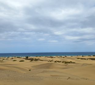 Dünen von Maspalomas