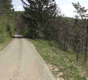 Waldlehrpfad an der Lauter