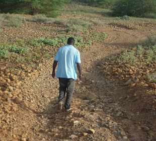 Der Weg wird geräumt